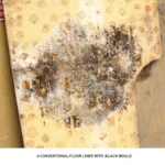 A conventional floor liner with black mould